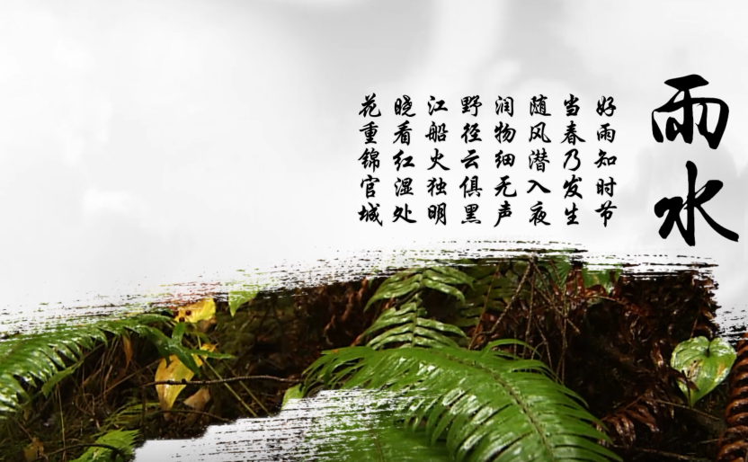 二十四节气篇之雨水