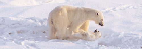 微信图片_20200313094848.gif